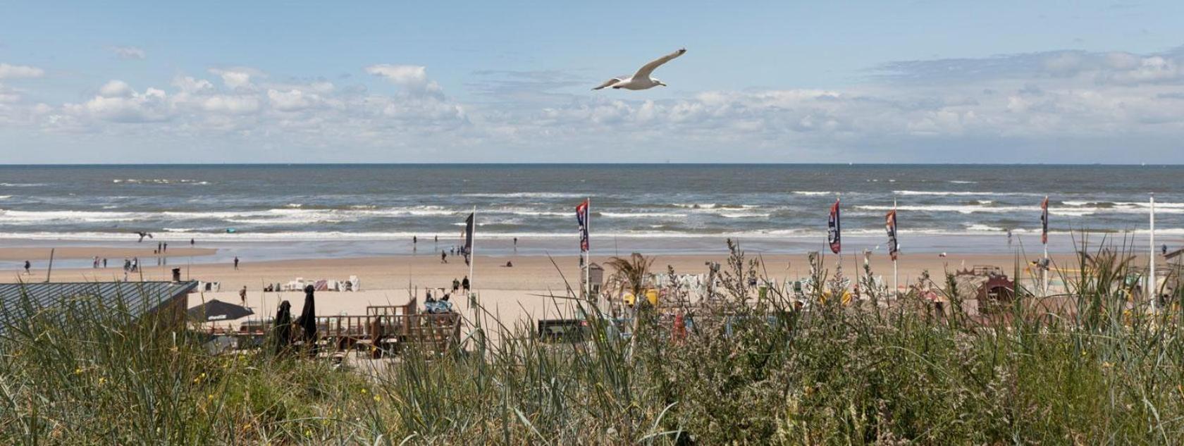 Apartment Oasis Studio- Free Parking Zandvoort